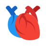 Cardiology