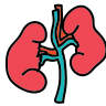 Nephrology