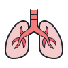 Pulmonology